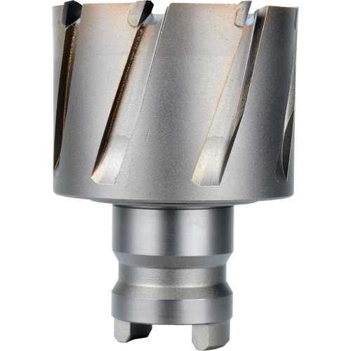 Quick Change Tang Drive Hawg&reg; Cutter, 2" Diameter, Steel, 1" Depth of Cut Helyx Safety & Industrial Supplies