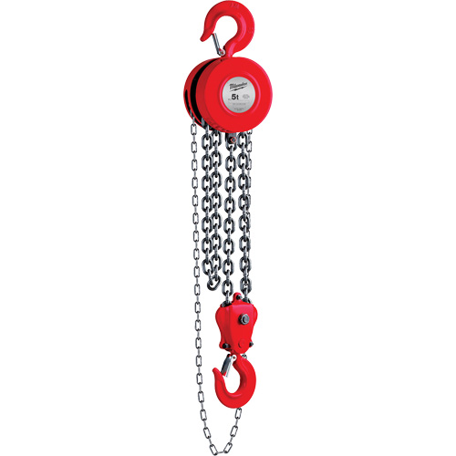 Palan &agrave; chaîne, Lev&eacute;e 8', Capacit&eacute; 11023 lb (5 tonnes) Helyx Safety & Industrial Supplies