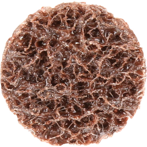 Standard Abrasives Quick-Change Surface Conditioning Disc, 3/4" Dia., Coarse Grit, Aluminum Oxide Helyx Safety & Industrial Supplies