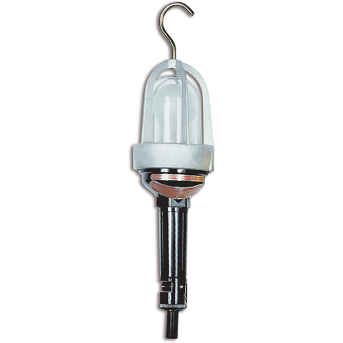 Baladeuses pour emplacements dangereux, DEL, 20 W, 2400 Lumens Helyx Safety & Industrial Supplies