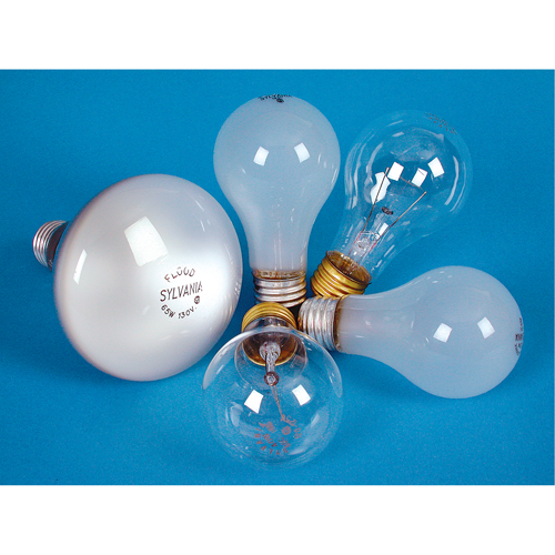 LAMPE INCANDESCENTE,25W,130V,GIVREE,2/PQT Helyx Safety & Industrial Supplies