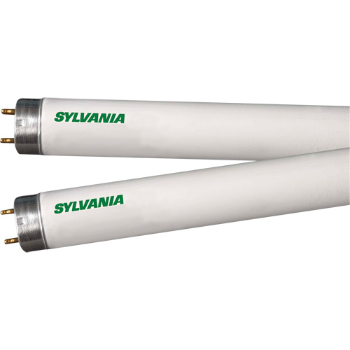 Lampes fluorescentes, 32 W, T8, 4100 K, Longueur de 48" Helyx Safety & Industrial Supplies
