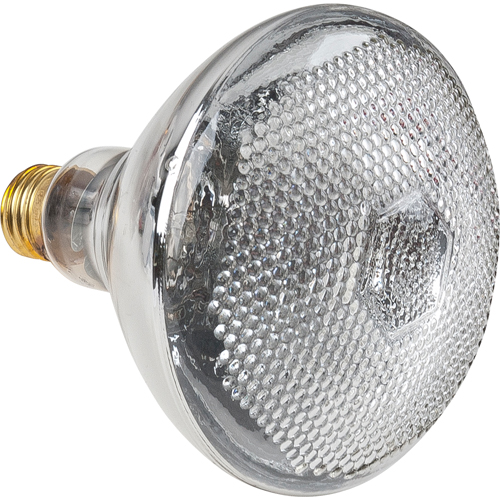 Lampes &agrave; incandescence &eacute;conomiques Helyx Safety & Industrial Supplies