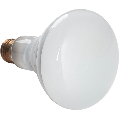 Lampes &agrave; incandescence &eacute;conomiques Helyx Safety & Industrial Supplies