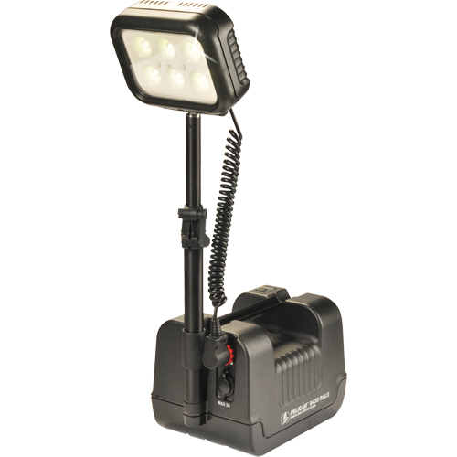 Syst&egrave;mes d'&eacute;clairage pour zones recul&eacute;es 9430, DEL, 3000 lumens, Boîtier en Plastique Helyx Safety & Industrial Supplies