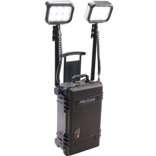 Syst&egrave;mes d'&eacute;clairage pour zones recul&eacute;es 9460, DEL, 12 000 lumens, Boîtier en Plastique Helyx Safety & Industrial Supplies