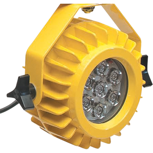 Lampe robuste DEL pour les quais - t&ecirc;te seulement Helyx Safety & Industrial Supplies
