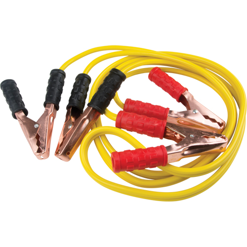 C&acirc;ble de survoltage, 8 AWG, 150 A, C&acirc;ble 10' Helyx Safety & Industrial Supplies