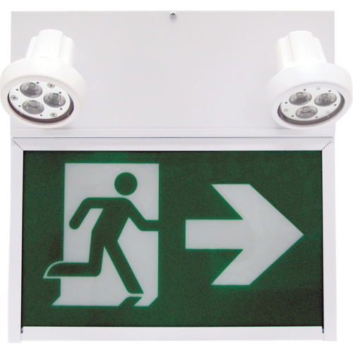 Running Man Exit Sign, LED, Battery Operated/Hardwired, 12" L x 12 1/2" W, Pictogram Helyx Safety & Industrial Supplies
