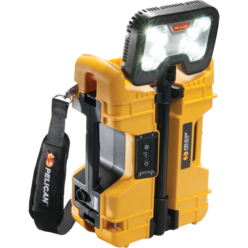 Syst&egrave;mes d'&eacute;clairage &agrave; distance 9480, DEL, 41,1 W, 4000 lumens, Boîtier en Plastique Helyx Safety & Industrial Supplies
