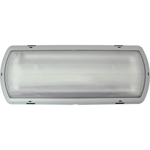 Luminaire de secours Tempesta, Plastique, DEL, 120 - 347 V Helyx Safety & Industrial Supplies