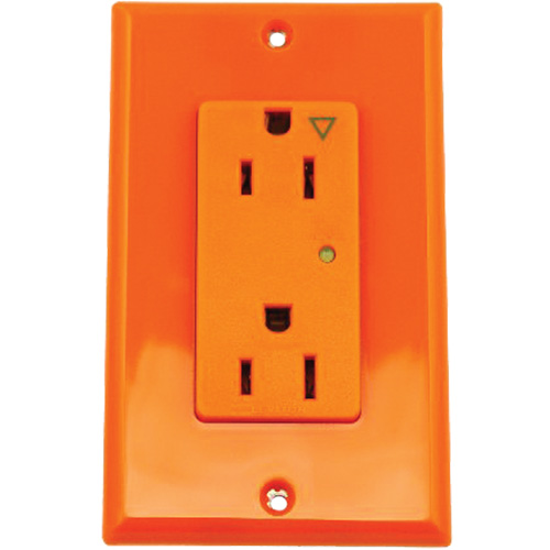 Prise isol&eacute;e avec protection contre les surcharges Decora Helyx Safety & Industrial Supplies