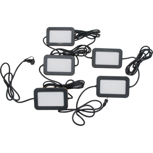 LED String Work Lights, 5 Lights, 50' L, Plastic Housing Helyx Safety & Industrial Supplies