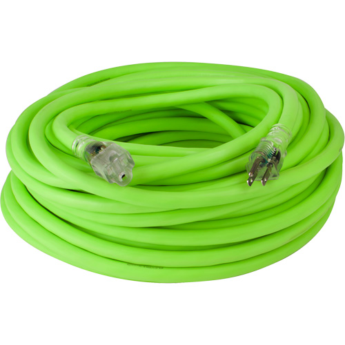 Cordon rallonge industriel Flexzilla Pro, Toutes saisons, SJTW, AWG 10/3, 15 A, 100' Helyx Safety & Industrial Supplies
