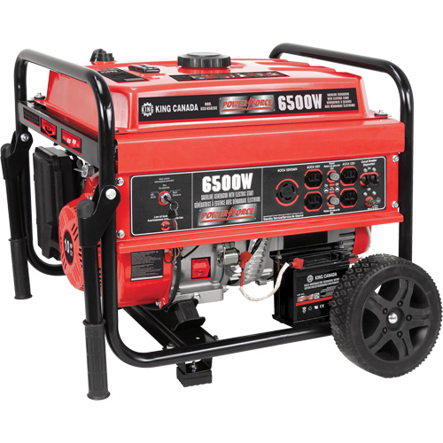 G&eacute;n&eacute;ratrice &agrave; essence &agrave; d&eacute;marrage &eacute;lectrique avec ensemble de roues, 6500 W de surtension, 5000 W nominale, 120 V/240 V, R&eacute;servoir de 20 L Helyx Safety & Industrial Supplies