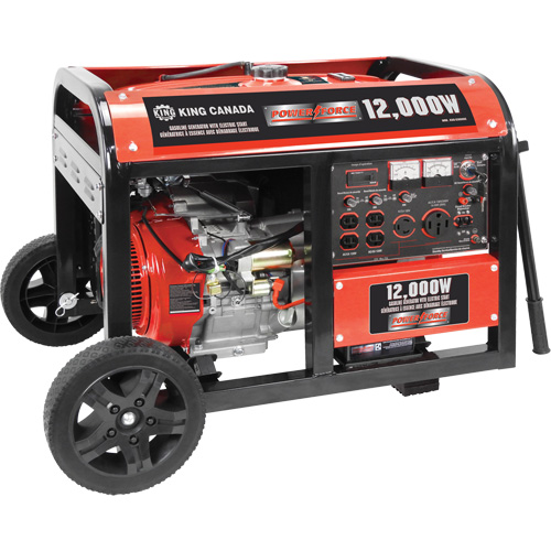 Electric Start Gas Generator with Wheel Kit, 12000 W Surge, 9000 W Rated, 120 V/240 V, 31 L Tank Helyx Safety & Industrial Supplies