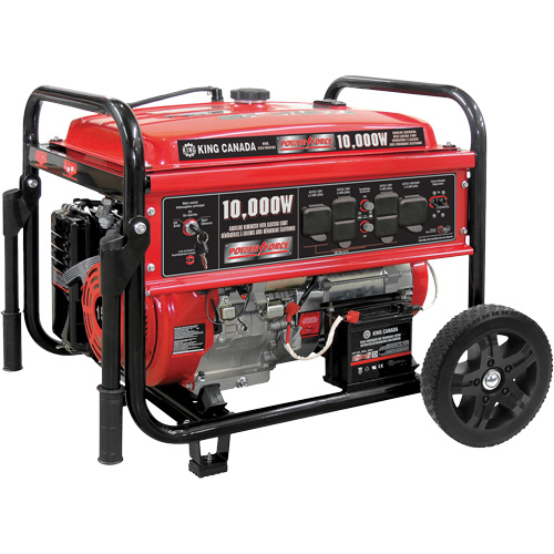 Gasoline Generator with Electric Start, 10000 W Surge, 7500 W Rated, 120 V/240 V, 25 L Tank Helyx Safety & Industrial Supplies