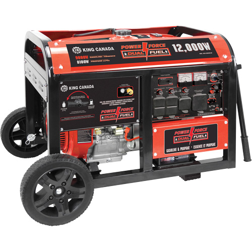 Gasoline/Propane Generator with Electric Start Helyx Safety & Industrial Supplies