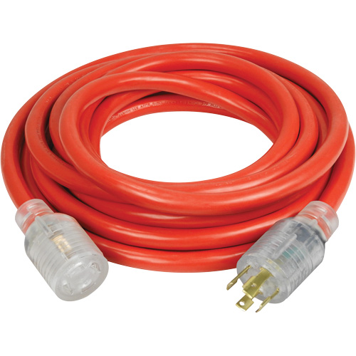 Rallonge pour g&eacute;n&eacute;ratrice &agrave; quatre prises, Ext&eacute;rieur, AWG 10, 30 A, 4 prise(s), 25' Helyx Safety & Industrial Supplies