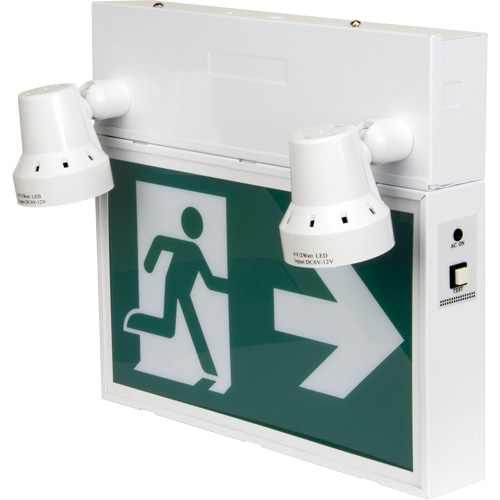 Enseigne d'homme qui court avec &eacute;clairage de s&eacute;curit&eacute;, DEL, &agrave; piles/&agrave; raccordement fixe, 12-1/10" lo x 11" la, Pictogramme Helyx Safety & Industrial Supplies