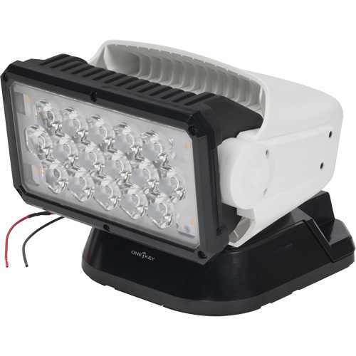 Projecteur orientable polyvalent &agrave; t&eacute;l&eacute;commande, DEL, 4250 lumens Helyx Safety & Industrial Supplies