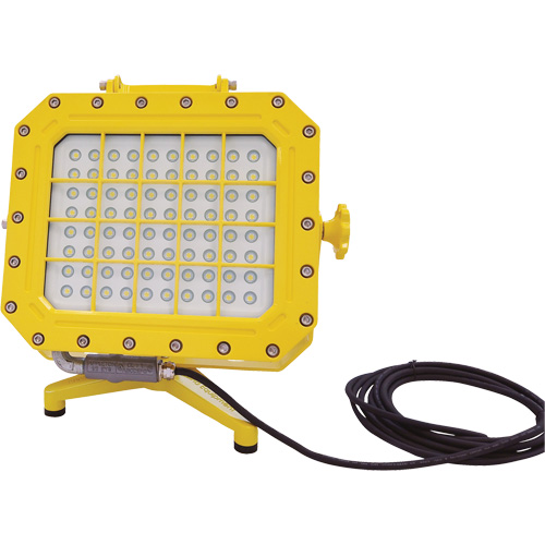 Diffuseur anti-d&eacute;flagration avec support pour plancher, DEL, 40 W, 5600 lumens, Boîtier en Aluminium Helyx Safety & Industrial Supplies