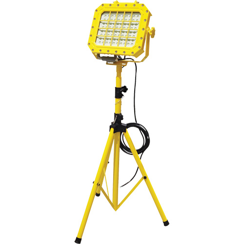 Diffuseur anti-d&eacute;flagration avec tr&eacute;pied, DEL, 40 W, 5600 lumens, Boîtier en Aluminium Helyx Safety & Industrial Supplies