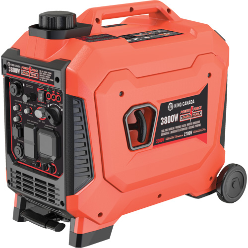 Dual Fuel Gasoline & Propane Digital Inverter Generator Helyx Safety & Industrial Supplies