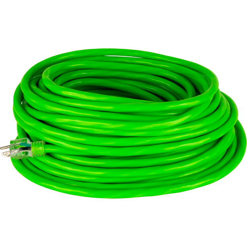 Industrial Extension Cord, All-Weather, SJTW, 10/3 AWG, 15 A, 100' Helyx Safety & Industrial Supplies