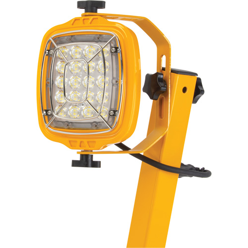 Lampe de quai, Bras 40", 50 W, Ampoule DEL, M&eacute;tal Helyx Safety & Industrial Supplies