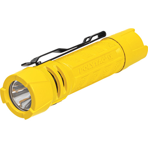 Lampe de poche PolyTac 1X, DEL, 350 lumens, Piles AA/CR123A Helyx Safety & Industrial Supplies