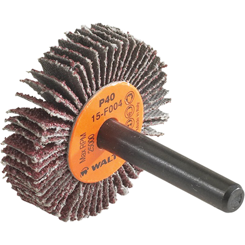 Disque &agrave; lamelles Coolcut, Oxyde d'aluminium, Grain 60, 1-1/2" x 3/8" x 1/4" Helyx Safety & Industrial Supplies