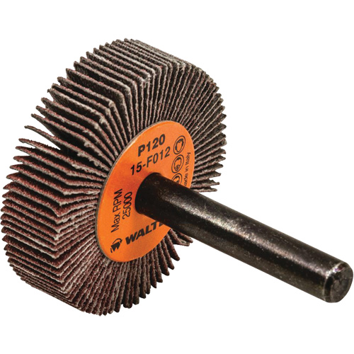 Disque &agrave; lamelles Coolcut, Oxyde d'aluminium, Grain 120, 1-1/2" x 3/8" x 1/4" Helyx Safety & Industrial Supplies