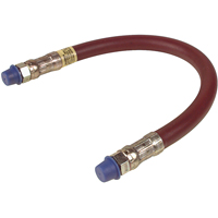 Grease Gun Extension Hoses Helyx Safety & Industrial Supplies