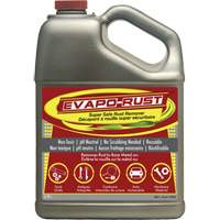 Evapo-Rust&reg; Super Safe Rust Remover, Jug Helyx Safety & Industrial Supplies