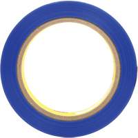 Ruban en polyester 8901, 25,4 mm (1") x 66 m (216'), Bleu Helyx Safety & Industrial Supplies