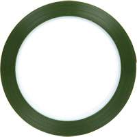 Polyester Tape, Polyester, 25.4 mm (1") W x 66 m (216') L, 1.9 mils Thick Helyx Safety & Industrial Supplies