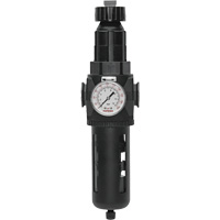 Modulair 400 Filter/Regulator with Manual Drain, 3/4" NPT, 200 psi, 9.1 fl. oz. Capacity Helyx Safety & Industrial Supplies