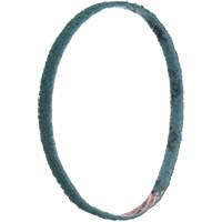 Scotch-Brite Surface Conditioning File Belts Helyx Safety & Industrial Supplies
