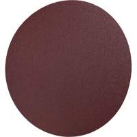PSA Cloth Disc 248D, 12" Dia., 36 Grit, Aluminum Oxide Helyx Safety & Industrial Supplies