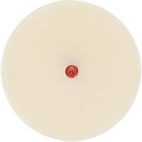 Disque pour enlever les bandes et les adh&eacute;sifs pour moulures Scotch-Brite, 4" dia. Helyx Safety & Industrial Supplies