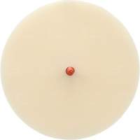 Disque Scotch-Brite 7502 pour retrait de colle et de bandes de moulage, 6" dia. Helyx Safety & Industrial Supplies