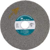 Meule d'&eacute;barbage EXL Scotch-Brite, 8" x 1", Arbre de 3" Helyx Safety & Industrial Supplies