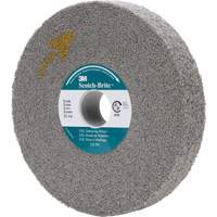 Meule d'&eacute;barbage EXL Scotch-Brite, 8" x 1", Arbre de 3" Helyx Safety & Industrial Supplies
