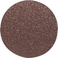 Wood Sanding Disc, 12" Dia., 60 Grit Helyx Safety & Industrial Supplies