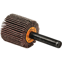 Flap Wheels-Coolcut Flap Wheels, Aluminum Oxide, 60 Grit, 1" x 1" x 1/4" Helyx Safety & Industrial Supplies
