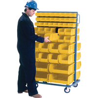 Double-Sided Mobile Bin Rack, Double-sided, 96 bins, 36" W x 24" D x 63" H Helyx Safety & Industrial Supplies