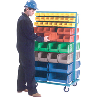 Mobile Bin Racks - Double Sided, 0 Bins, 36" W x 24" D x 67-1/2" H Helyx Safety & Industrial Supplies