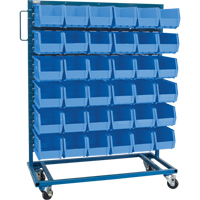 Single-Sided Mobile Bin Rack, Single-sided, 36 bins, 36" W x 16" D x 46-1/2" H Helyx Safety & Industrial Supplies
