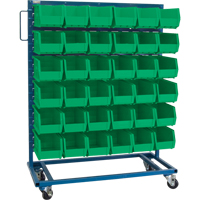 Single-Sided Mobile Bin Rack, Single-sided, 36 bins, 36" W x 16" D x 46-1/2" H Helyx Safety & Industrial Supplies